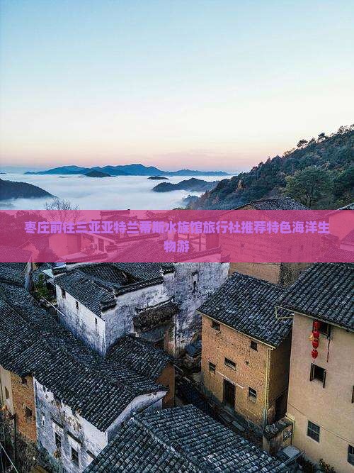 枣庄前往三亚亚特兰蒂斯水族馆旅行社推荐特色海洋生物游