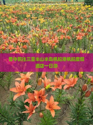 晋中前往三亚半山半岛帆船港帆船度假酒店一日游