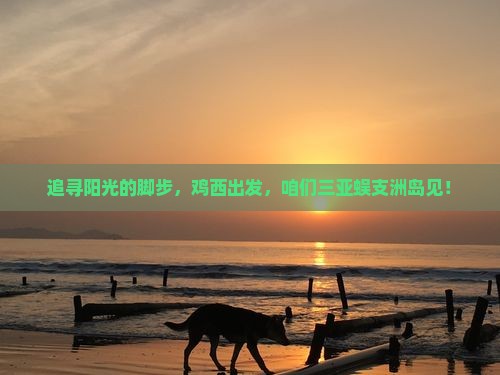 追寻阳光的脚步，鸡西出发，咱们三亚蜈支洲岛见！