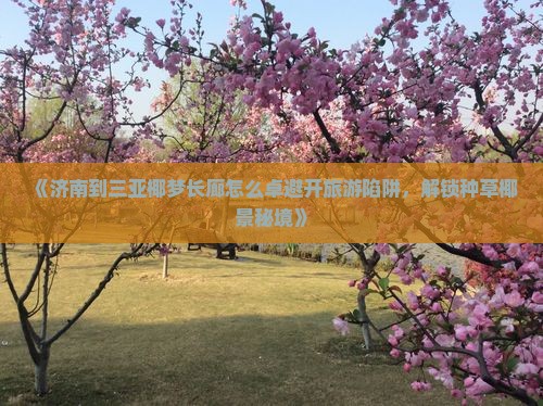 《济南到三亚椰梦长廊怎么卓避开旅游陷阱，解锁种草椰景秘境》