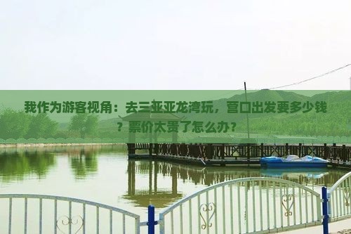 我作为游客视角：去三亚亚龙湾玩，营口出发要多少钱？票价太贵了怎么办？