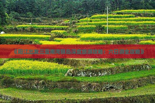 《阳江出发三亚南湾猴岛深度旅游攻略：六日游全攻略》