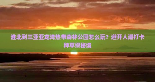 淮北到三亚亚龙湾热带森林公园怎么玩？避开人潮打卡种草级秘境