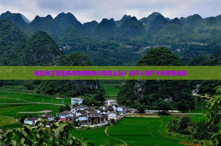 淮北到三亚亚龙湾热带森林公园怎么玩？避开人潮打卡种草级秘境