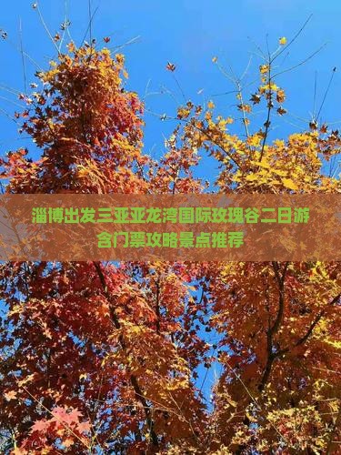 淄博出发三亚亚龙湾国际玫瑰谷二日游含门票攻略景点推荐
