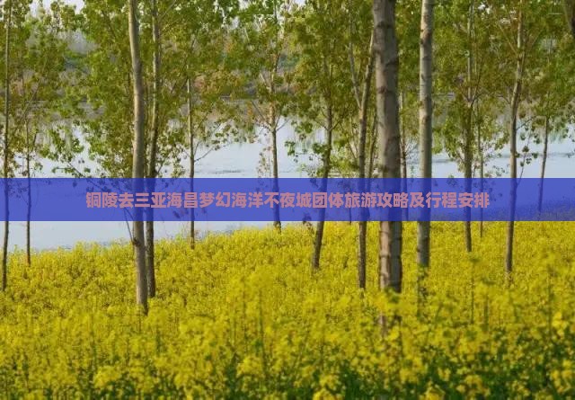铜陵去三亚海昌梦幻海洋不夜城团体旅游攻略及行程安排
