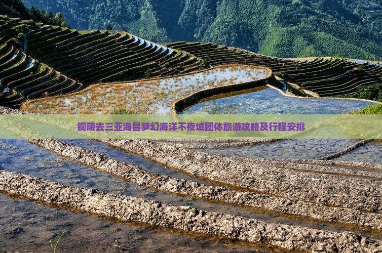 铜陵去三亚海昌梦幻海洋不夜城团体旅游攻略及行程安排