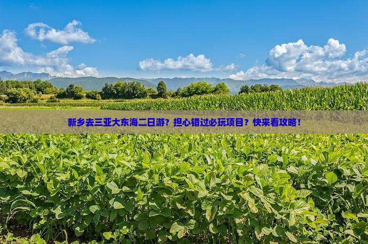 新乡去三亚大东海二日游？担心错过必玩项目？快来看攻略！