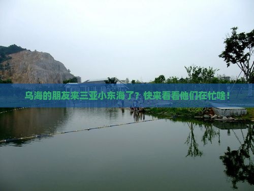 乌海的朋友来三亚小东海了？快来看看他们在忙啥！
