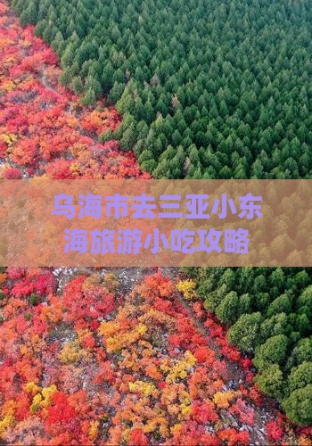 乌海市去三亚小东海旅游小吃攻略