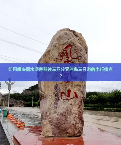 如何解决丽水游客前往三亚分界洲岛三日游的出行痛点？