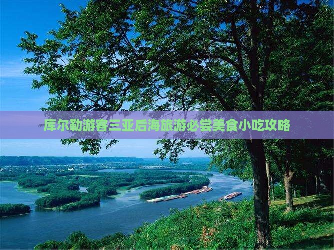 库尔勒游客三亚后海旅游必尝美食小吃攻略