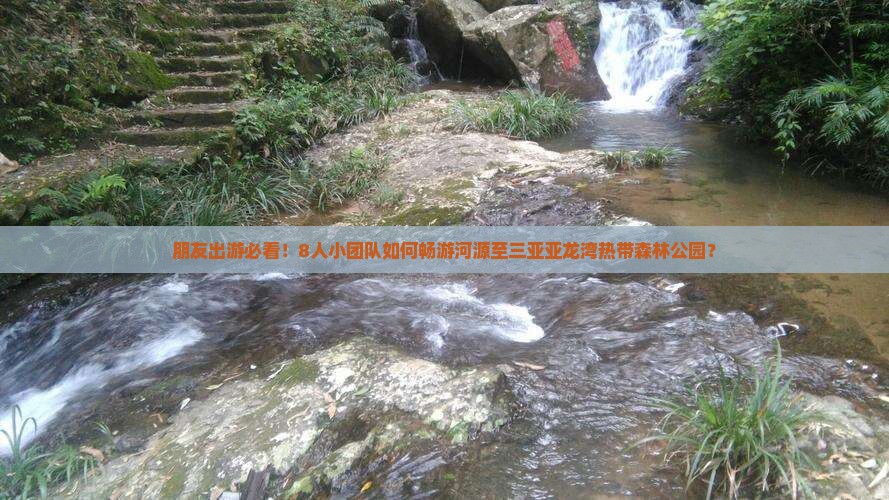 朋友出游必看！8人小团队如何畅游河源至三亚亚龙湾热带森林公园？