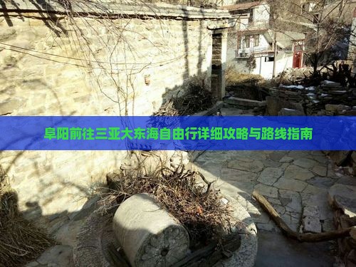 阜阳前往三亚大东海自由行详细攻略与路线指南