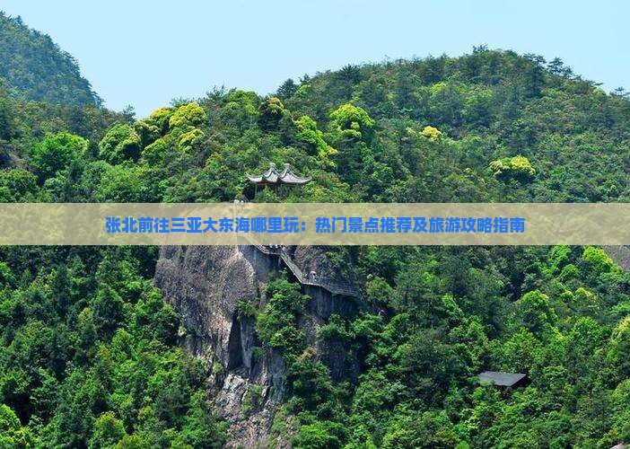 张北前往三亚大东海哪里玩：热门景点推荐及旅游攻略指南