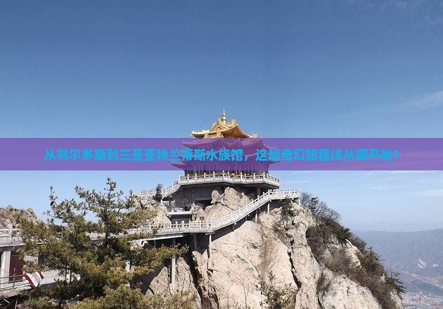 从鄂尔多斯到三亚亚特兰蒂斯水族馆，这趟奇幻旅程该从哪开始？