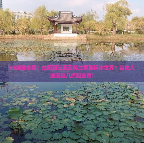 #1游客必看！益阳到三亚亚特兰蒂斯玩水世界？当地人透露这几点超重要！
