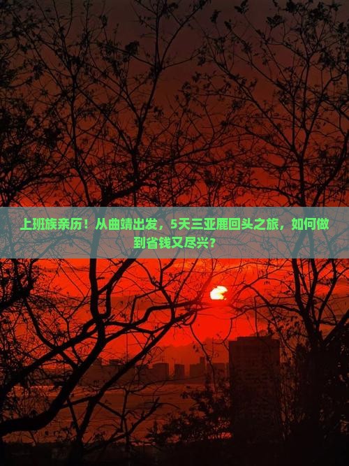 上班族亲历！从曲靖出发，5天三亚鹿回头之旅，如何做到省钱又尽兴？