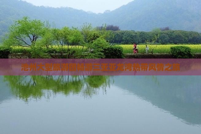 池州大型旅游团畅游三亚亚龙湾热带风情之旅