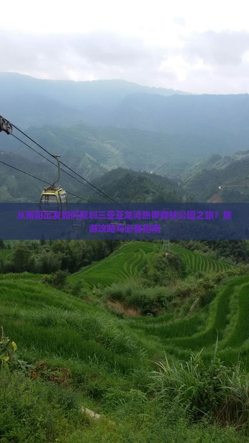 从南阳出发如何规划三亚亚龙湾热带森林公园之旅？旅游攻略与必备指南