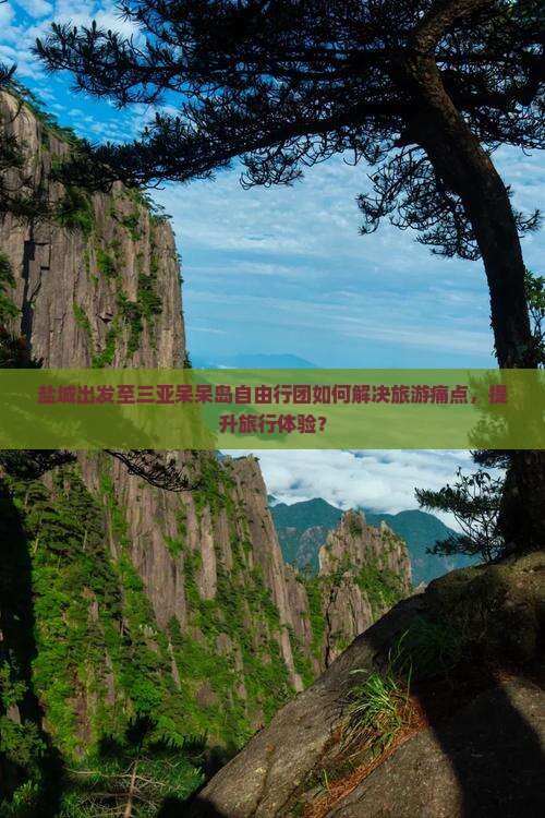 盐城出发至三亚呆呆岛自由行团如何解决旅游痛点，提升旅行体验？