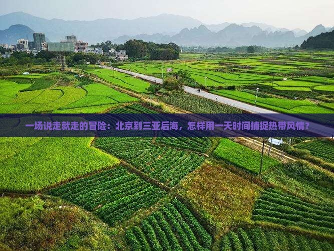 一场说走就走的冒险：北京到三亚后海，怎样用一天时间捕捉热带风情？