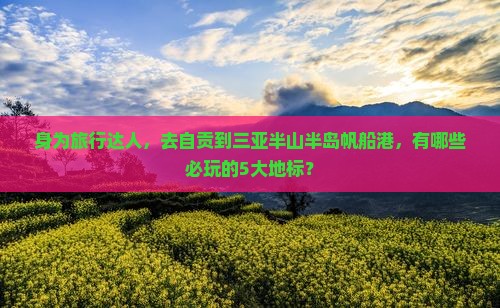 身为旅行达人，去自贡到三亚半山半岛帆船港，有哪些必玩的5大地标？