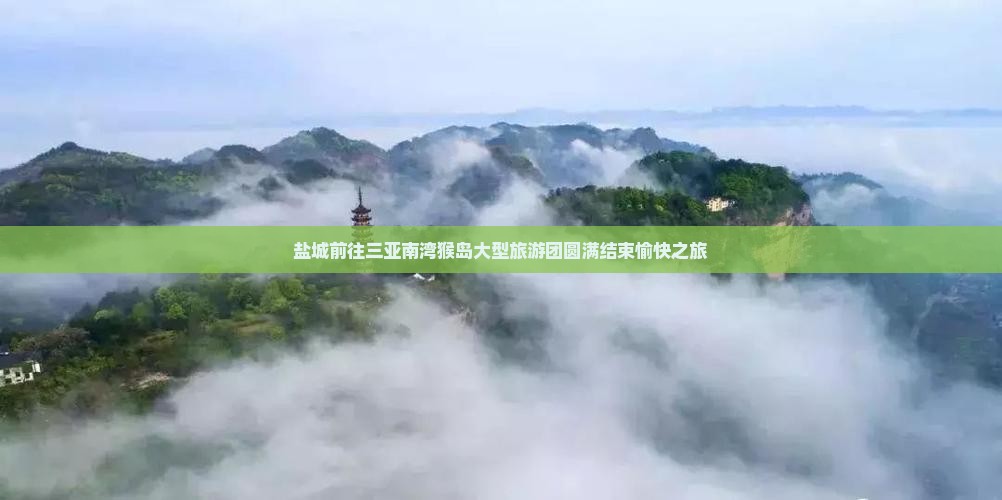 盐城前往三亚南湾猴岛大型旅游团圆满结束愉快之旅