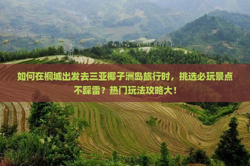 如何在桐城出发去三亚椰子洲岛旅行时，挑选必玩景点不踩雷？热门玩法攻略大！