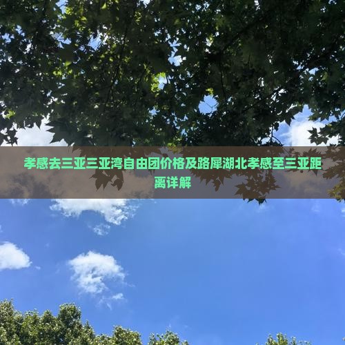孝感去三亚三亚湾自由团价格及路犀湖北孝感至三亚距离详解