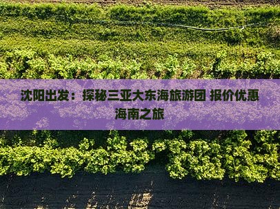 沈阳出发：探秘三亚大东海旅游团 报价优惠海南之旅