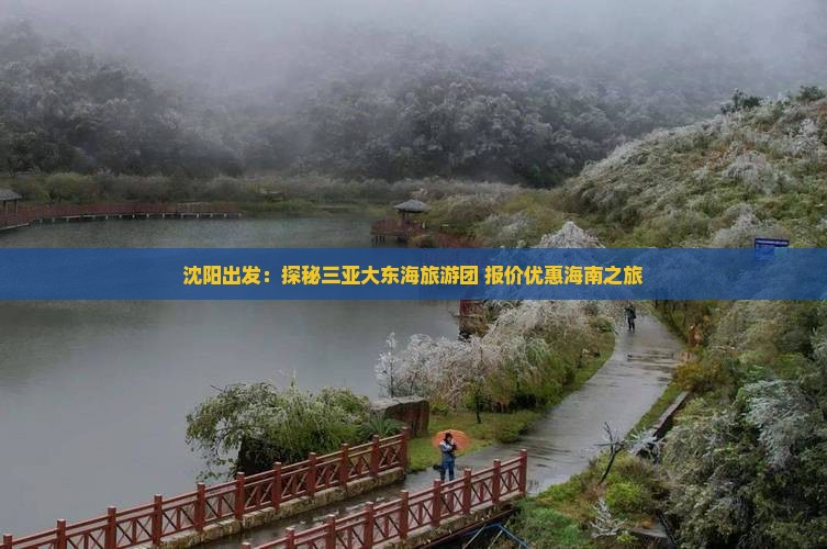沈阳出发：探秘三亚大东海旅游团 报价优惠海南之旅