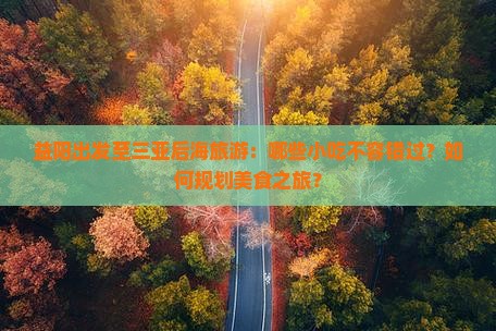 益阳出发至三亚后海旅游：哪些小吃不容错过？如何规划美食之旅？