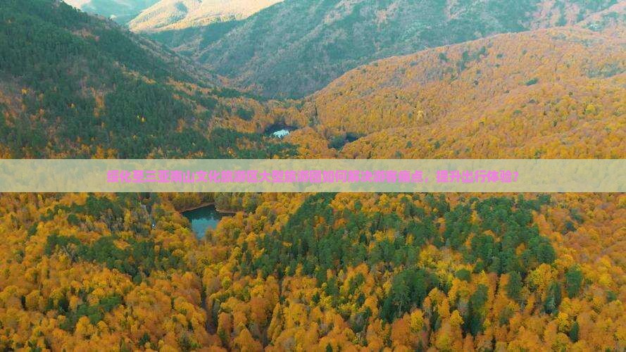绥化至三亚南山文化旅游区大型旅游团如何解决游客痛点，提升出行体验？