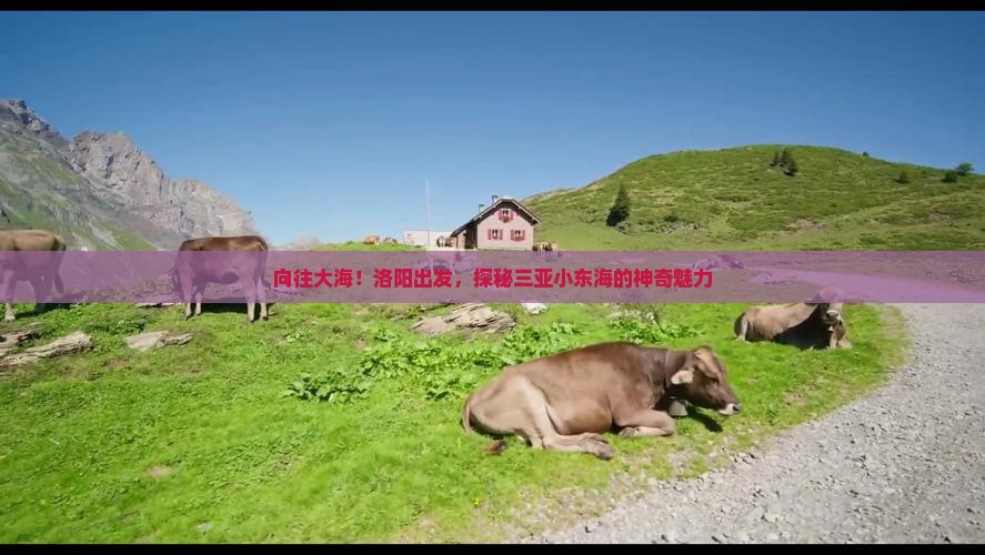 向往大海！洛阳出发，探秘三亚小东海的神奇魅力