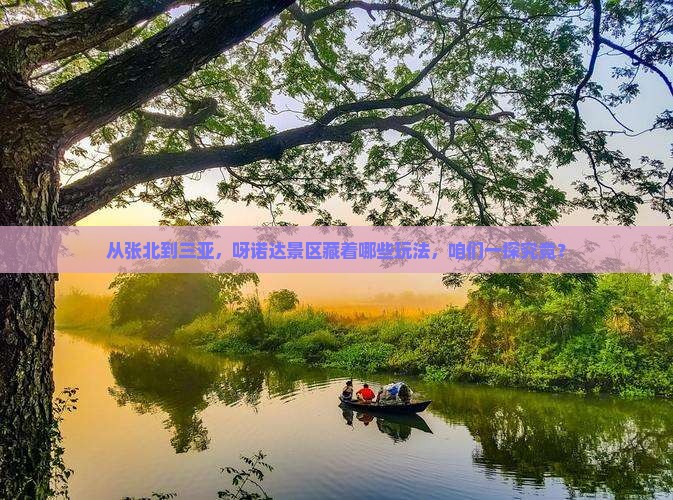 从张北到三亚，呀诺达景区藏着哪些玩法，咱们一探究竟？