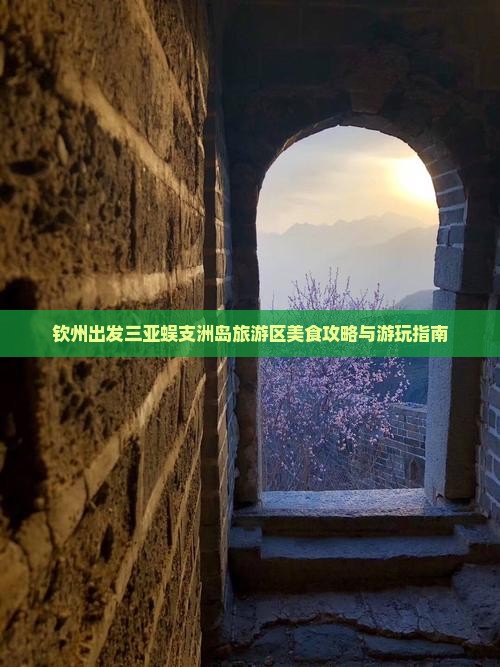 钦州出发三亚蜈支洲岛旅游区美食攻略与游玩指南