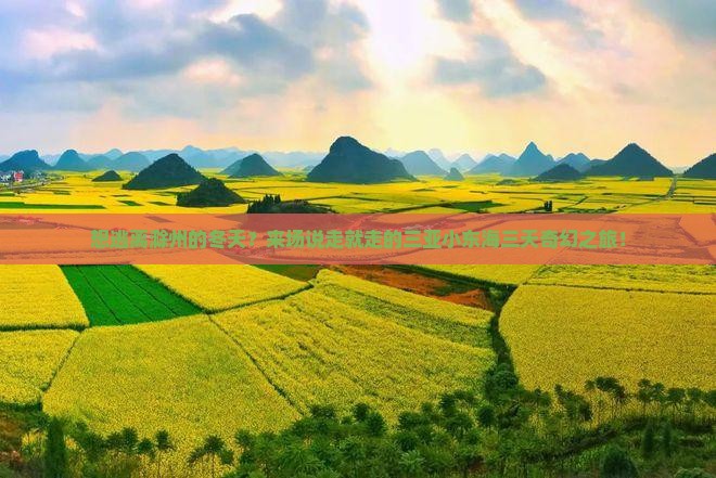 想逃离滁州的冬天？来场说走就走的三亚小东海三天奇幻之旅！