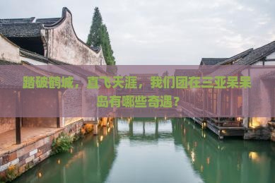 踏破鹤城，直飞天涯，我们团在三亚呆呆岛有哪些奇遇？