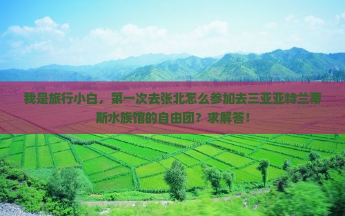 我是旅行小白，第一次去张北怎么参加去三亚亚特兰蒂斯水族馆的自由团？求解答！