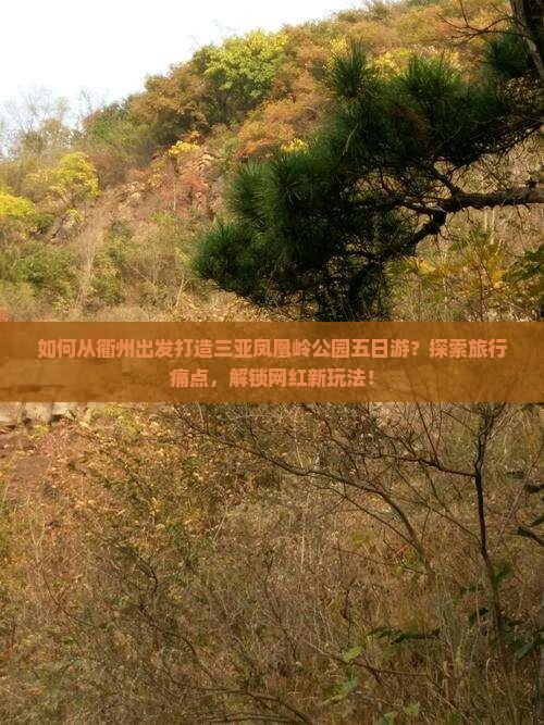 如何从衢州出发打造三亚凤凰岭公园五日游？探索旅行痛点，解锁网红新玩法！