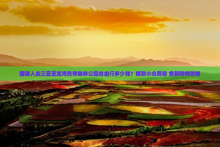 醴陵人去三亚亚龙湾热带森林公园自由行多少钱？精致小众民宿+免税购物攻略