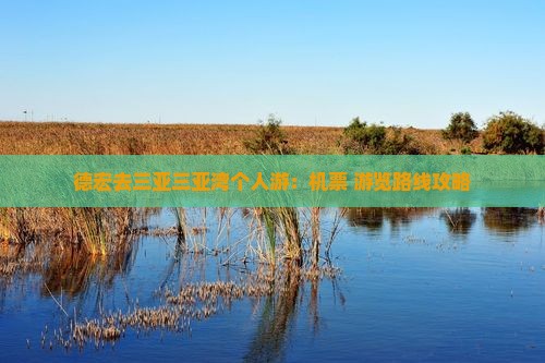 德宏去三亚三亚湾个人游：机票+游览路线攻略