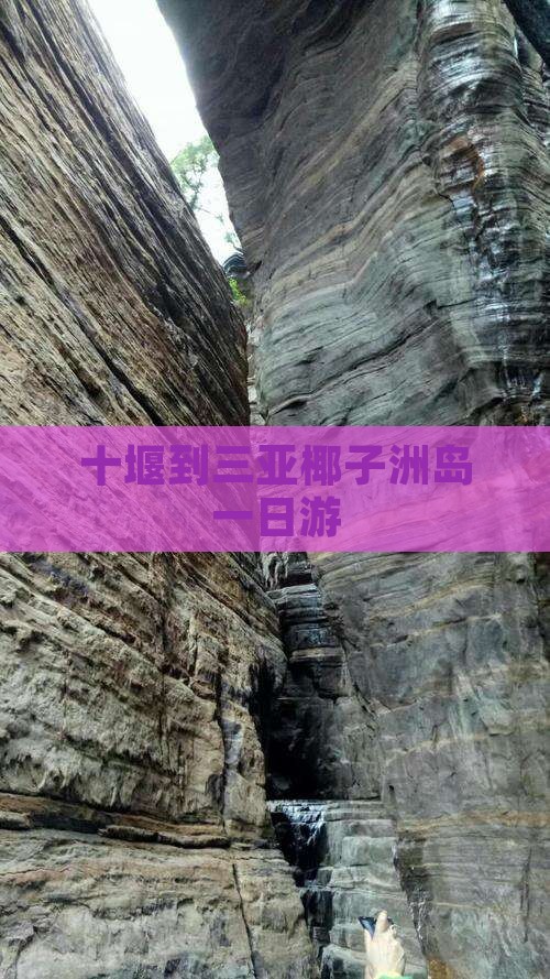 十堰到三亚椰子洲岛一日游