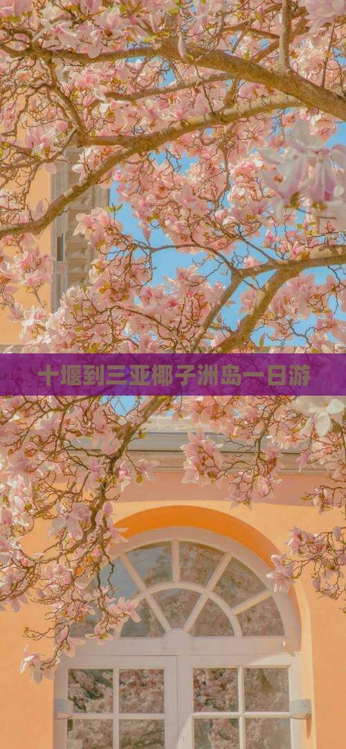 十堰到三亚椰子洲岛一日游