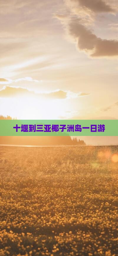 十堰到三亚椰子洲岛一日游