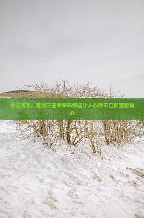 探访河池，追寻三亚呆呆岛那些让人心动不已的宝藏角落