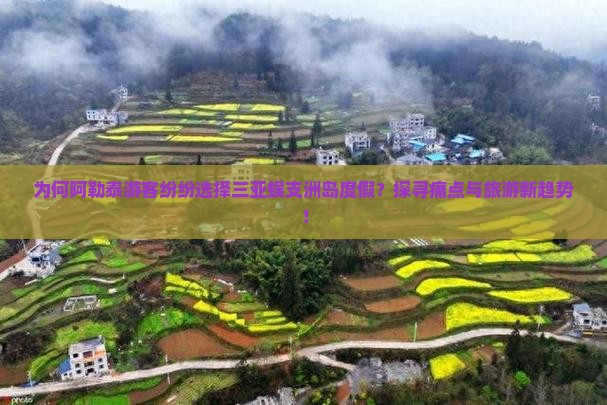 为何阿勒泰游客纷纷选择三亚蜈支洲岛度假？探寻痛点与旅游新趋势！