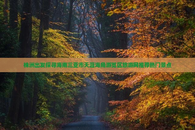 株洲出发探寻海南三亚市天涯海角游览区旅游网推荐热门景点