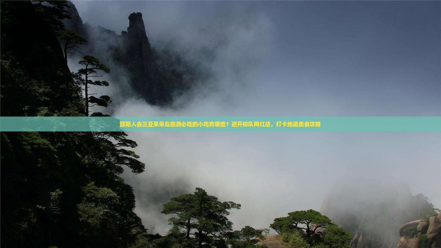 邵阳人去三亚呆呆岛旅游必吃的小吃有哪些？避开排队网红店，打卡地道美食攻略